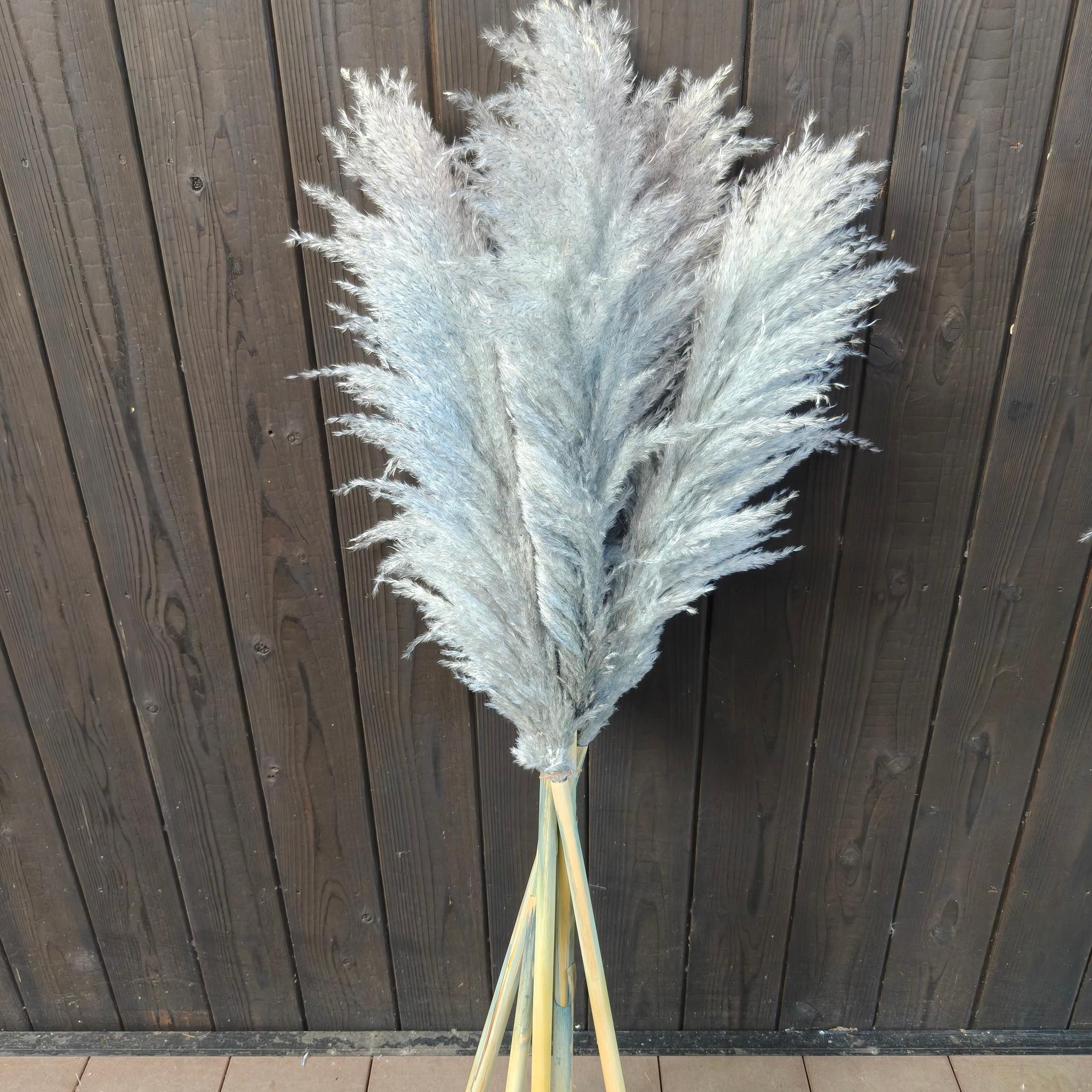 今季！グレージュ、ニュアンスカラーのパンパスグラス  開店祝い ドライフラワーインテリア ウェディング大人クリスマス | 6枚目